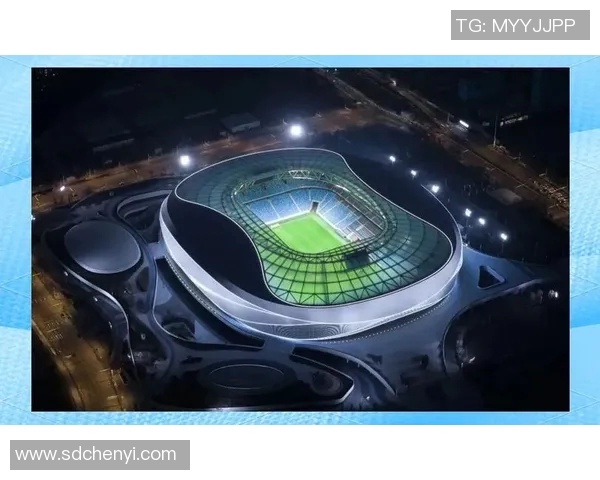 足球场的壮丽景观与激情瞬间展现了运动的魅力与团队的精神